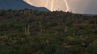 Runner Struck In The Head By Lightning, Finishes Third